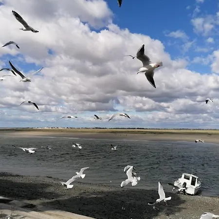 Apartman Avec Garage - 