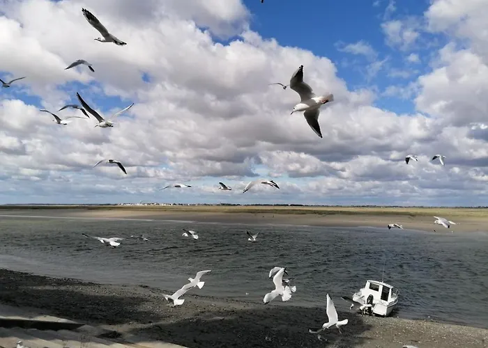 Apartman Avec Garage - 